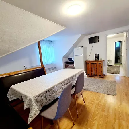 Guest house Vila Giulia Voineasa Voineasa