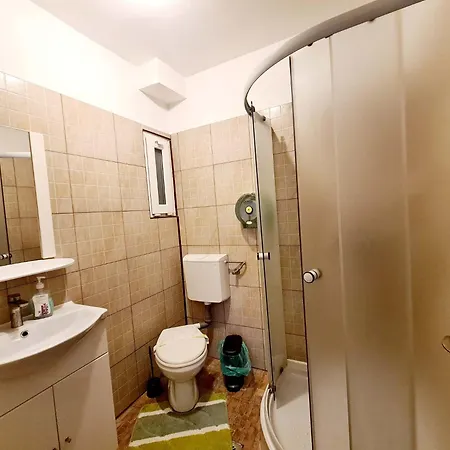 Vila Giulia Voineasa Guest house *