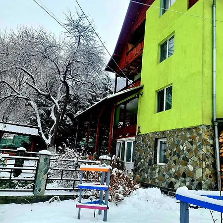 Vila Giulia Voineasa Guest house